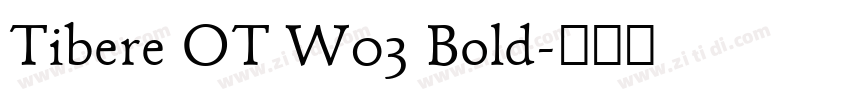Tibere OT W03 Bold字体转换